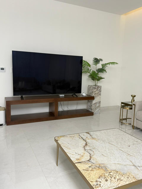 The Terra TV Unit |