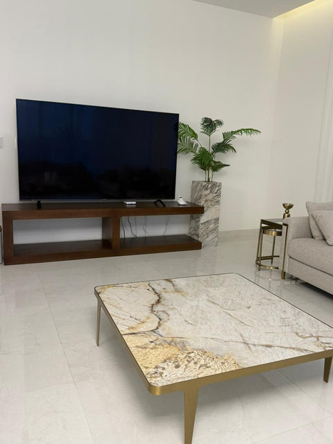 The Terra TV Unit |