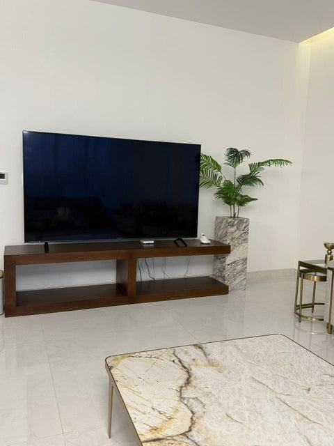 The Terra TV Unit |